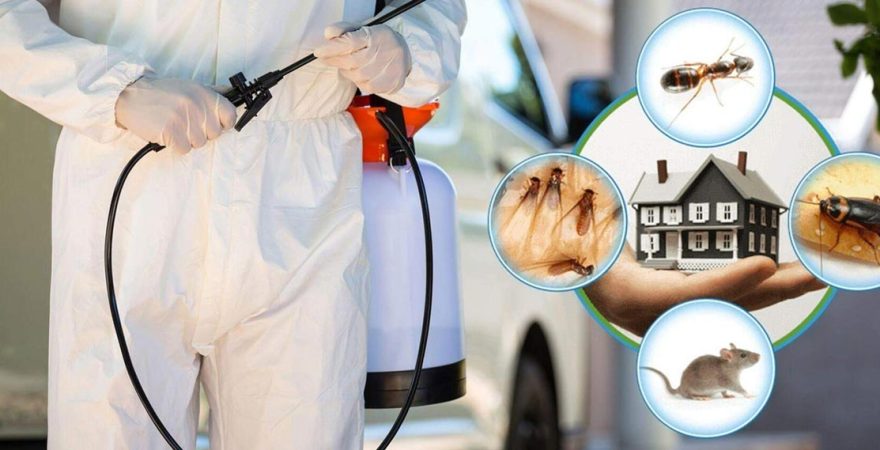 Ula Böcek İlaçlama