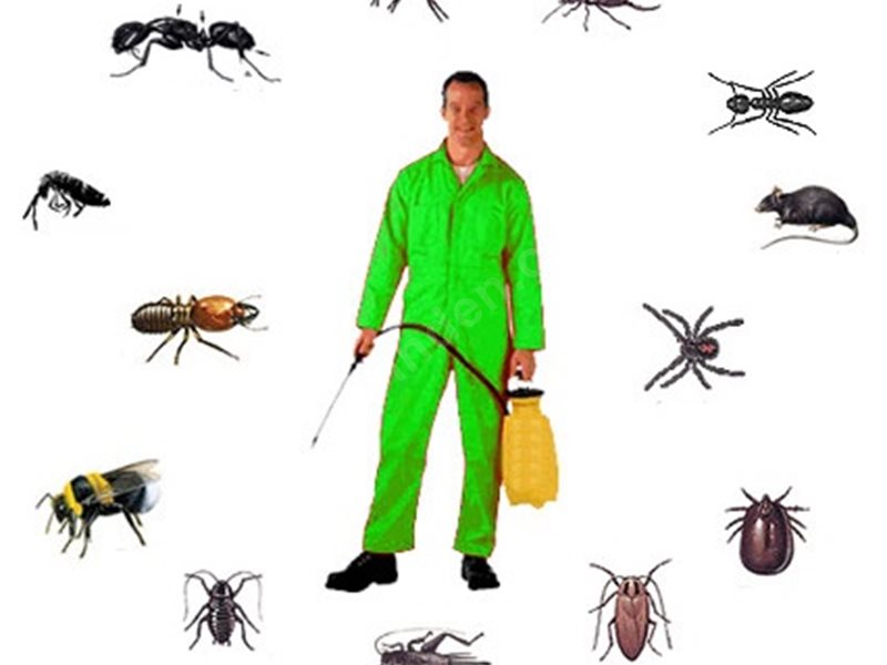 Ula Böcek İlaçlama